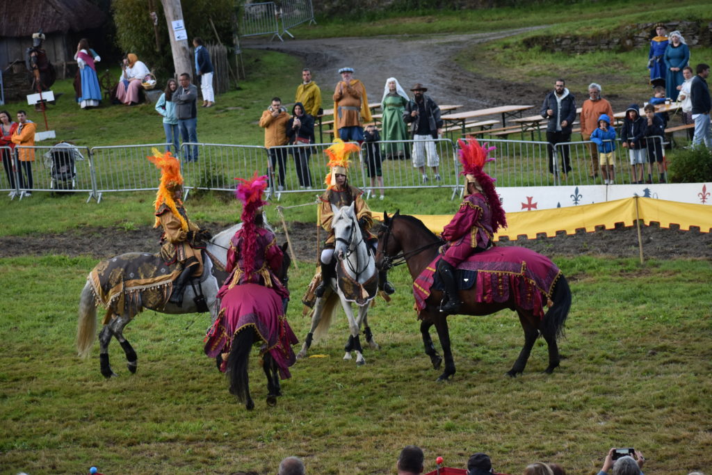 Chevaux et cavaliers